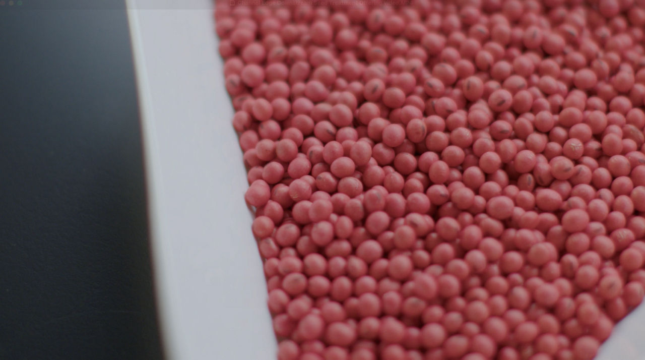 Seed Solutions